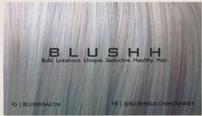  Blushh Salon Cut & Style 202//116